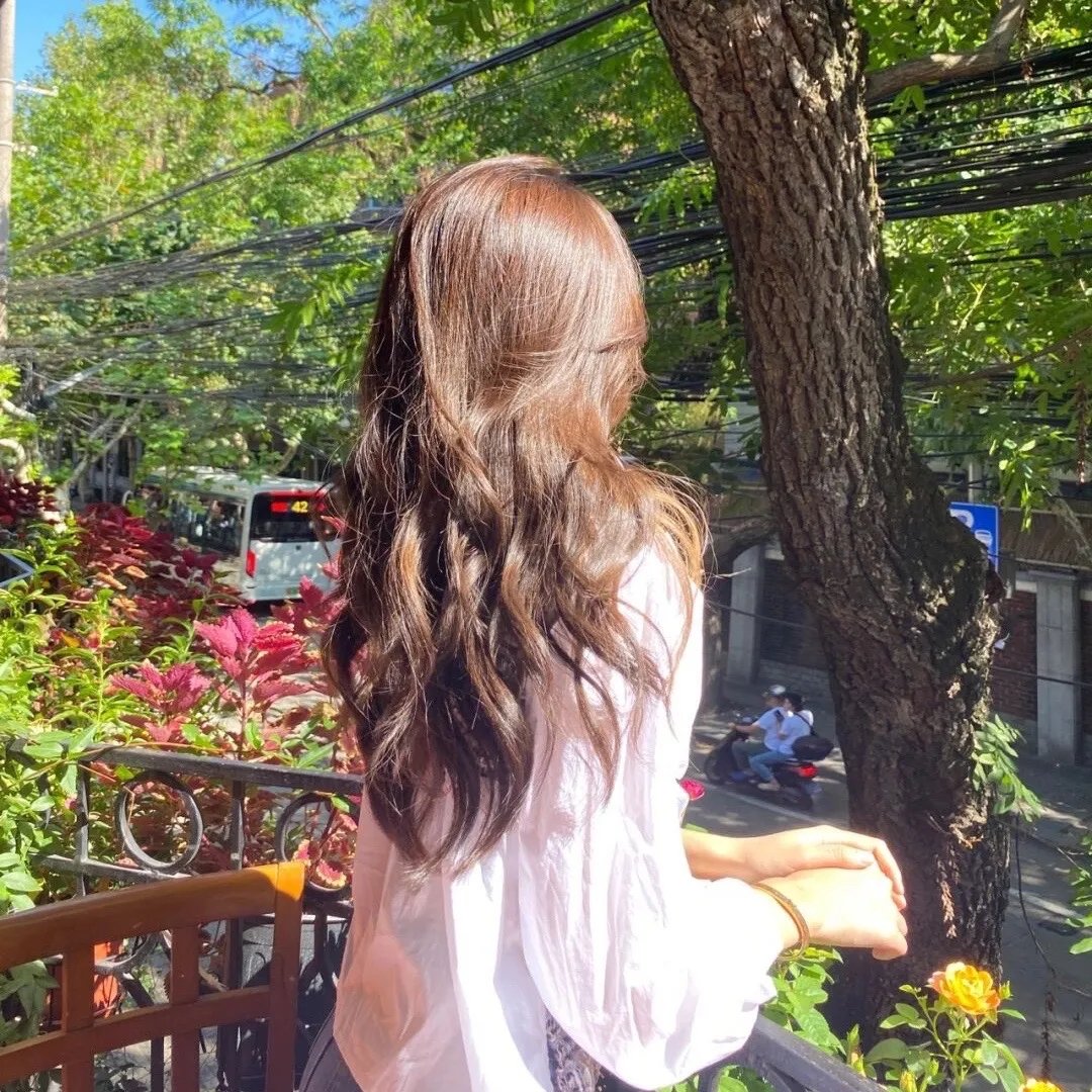 归来之风云再起